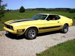 Ford Mustang Mach I Sportroof 1973 года